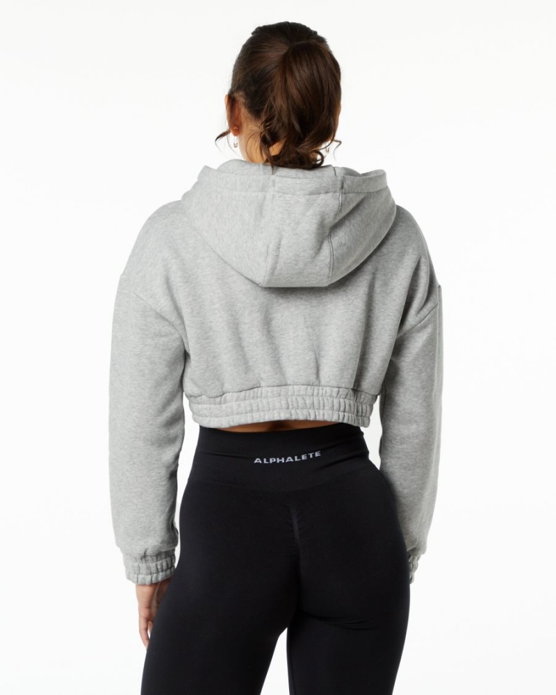 Alphalete Classic Capital Crop Hoodie Hettegenser Dame Grå | HMNULI-257