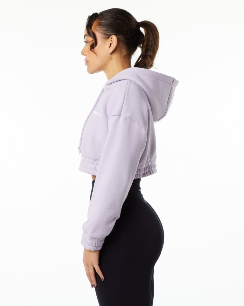 Alphalete Classic Capital Crop Hoodie Hettegenser Dame Misty Lilac | LWRGSF-386