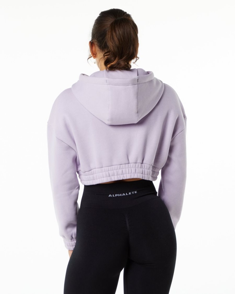 Alphalete Classic Capital Crop Hoodie Hettegenser Dame Misty Lilac | LWRGSF-386