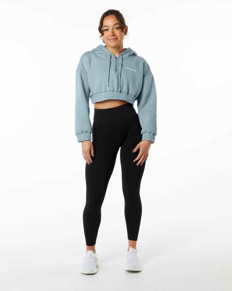 Alphalete Classic Capital Crop Hoodie Hettegenser Dame Blå | EZVDIR-940