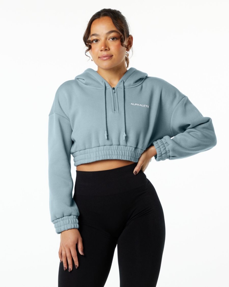 Alphalete Classic Capital Crop Hoodie Hettegenser Dame Blå | EZVDIR-940