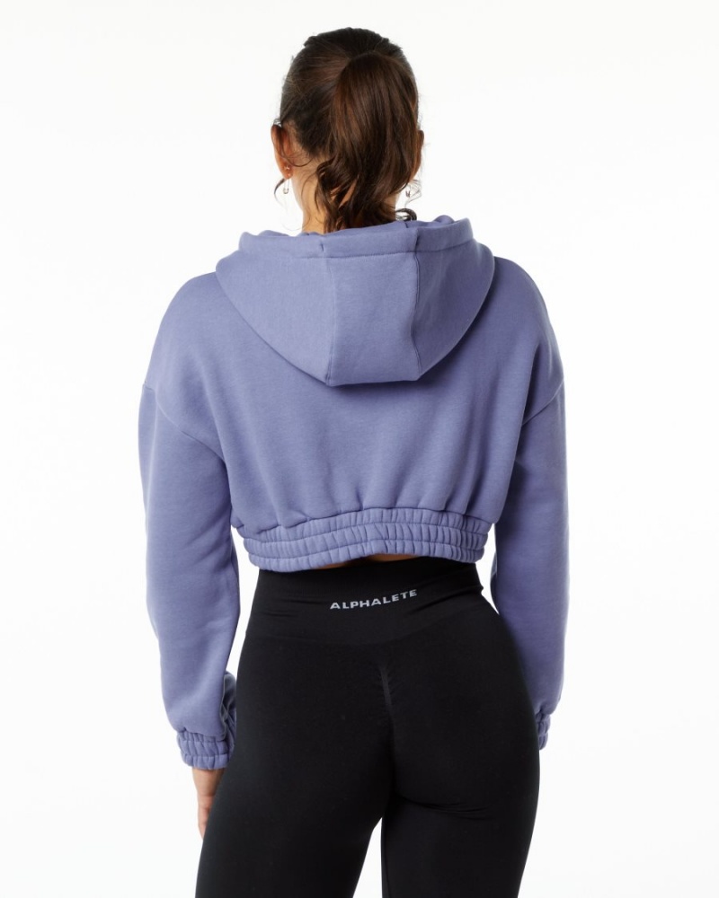 Alphalete Classic Capital Crop Hoodie Hettegenser Dame Digital Violet | THOUPA-204