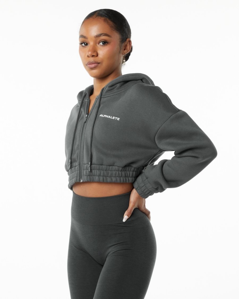 Alphalete Classic Capital Full-Zip Crop Jacket Jakker Dame Smoke | BPTFNQ-324