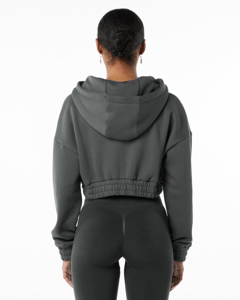 Alphalete Classic Capital Full-Zip Crop Jacket Jakker Dame Smoke | BPTFNQ-324