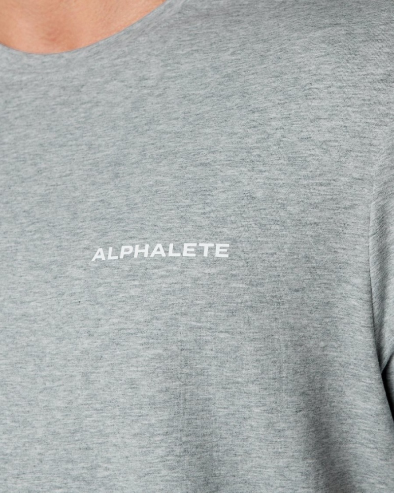 Alphalete Classic Tee Skjorte Herre Grå | LTWYVC-537