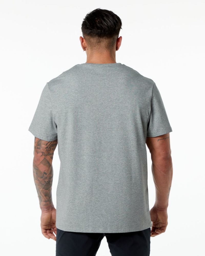 Alphalete Classic Tee Skjorte Herre Grå | LTWYVC-537