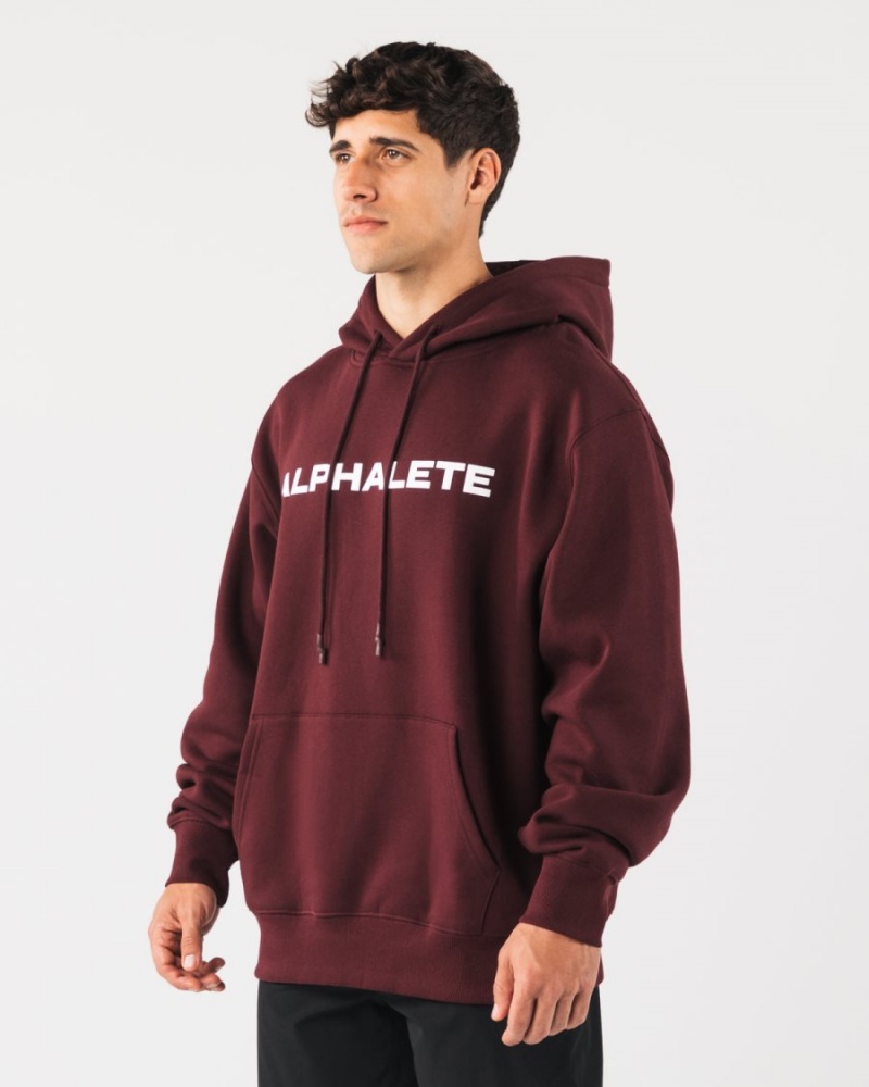 Alphalete Core Hoodie Hettegenser Herre Sangria | UWGTEO-840