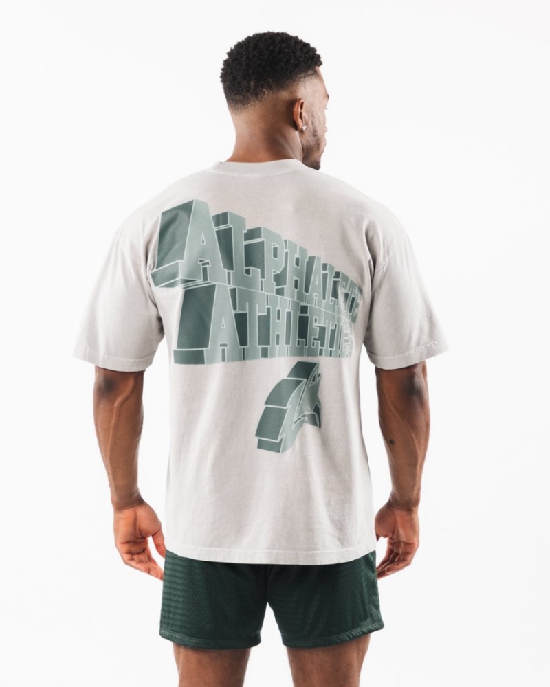 Alphalete Dimensional Tee Skjorte Herre Mørke Sølv | VLYMKF-653