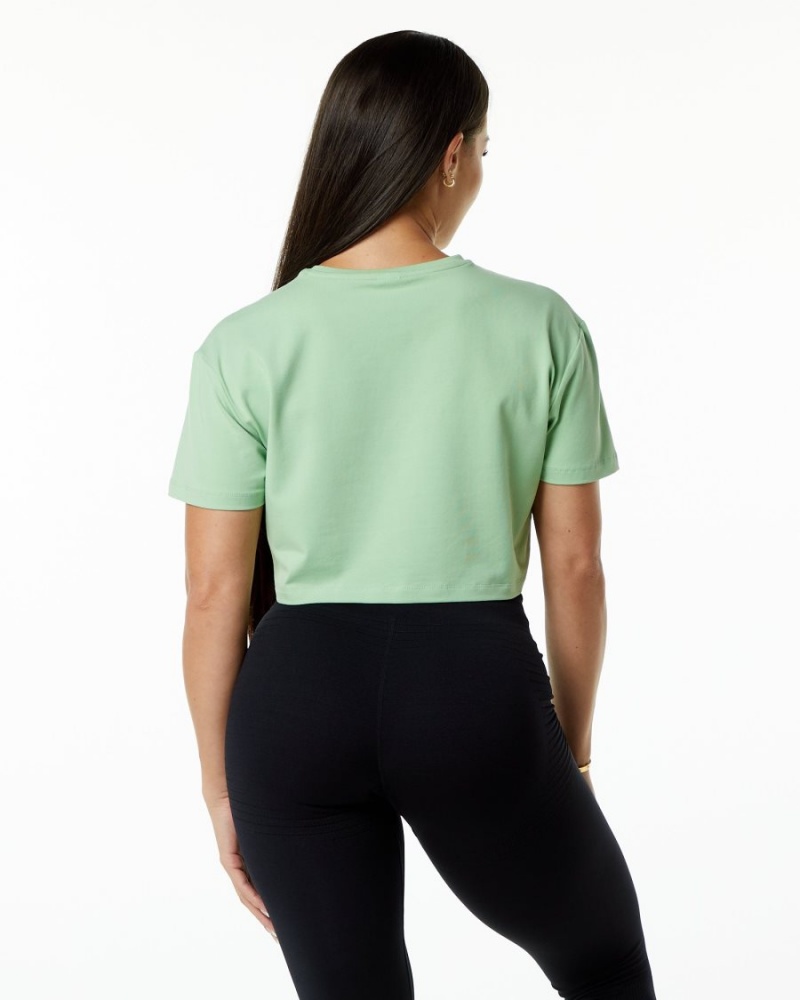 Alphalete Dynasty Crop Skjorte Dame Pistachio | XBEIYA-021