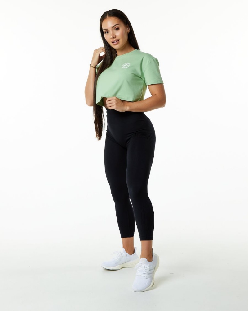 Alphalete Dynasty Crop Skjorte Dame Pistachio | XBEIYA-021