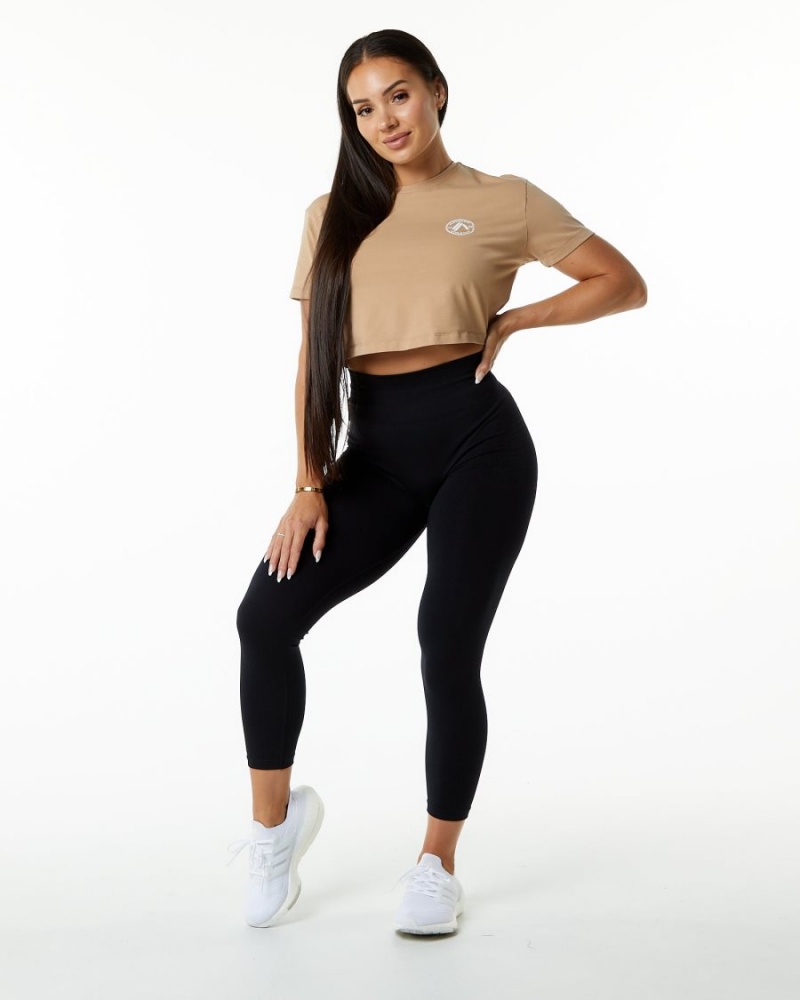 Alphalete Dynasty Crop Skjorte Dame Taupe | YZTBML-347