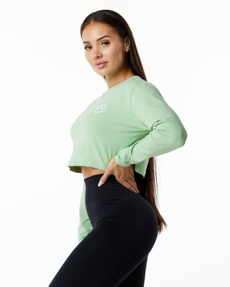 Alphalete Dynasty LS Crop Langermet Dame Pistachio | MXGVID-286