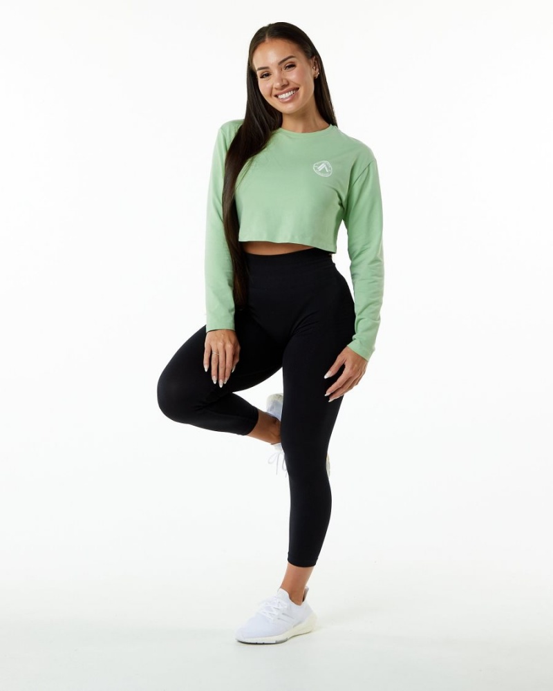 Alphalete Dynasty LS Crop Langermet Dame Pistachio | MXGVID-286