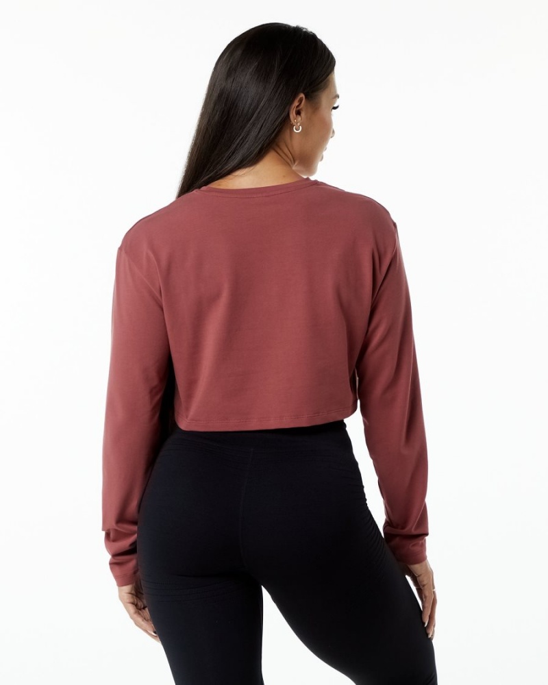 Alphalete Dynasty LS Crop Langermet Dame Gingerbread | JUAGXQ-254