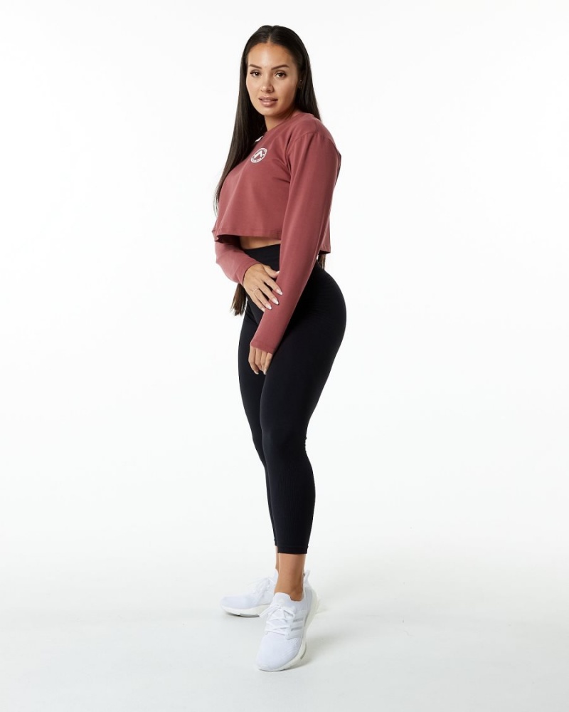 Alphalete Dynasty LS Crop Langermet Dame Gingerbread | JUAGXQ-254