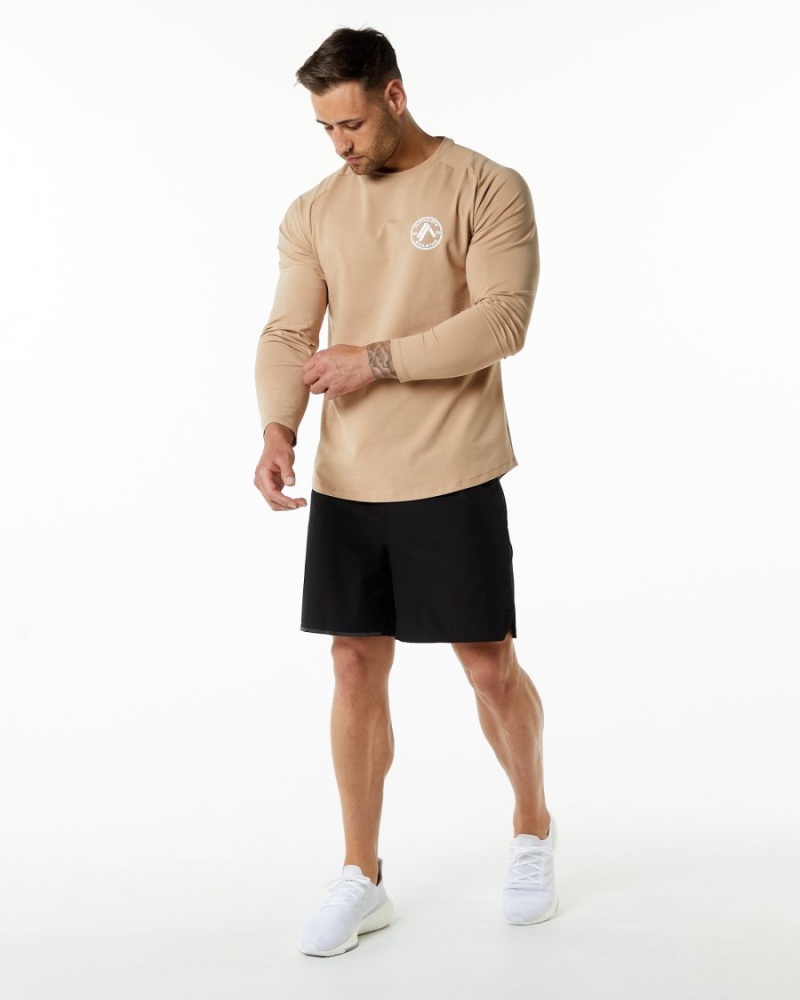 Alphalete Dynasty LS Tee Skjorte Herre Taupe | XVPJKB-502