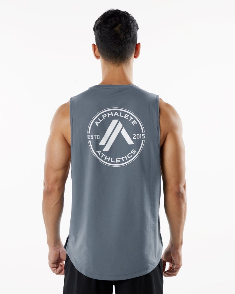 Alphalete Dynasty Tank Singlet Herre Carbon | HBILON-506