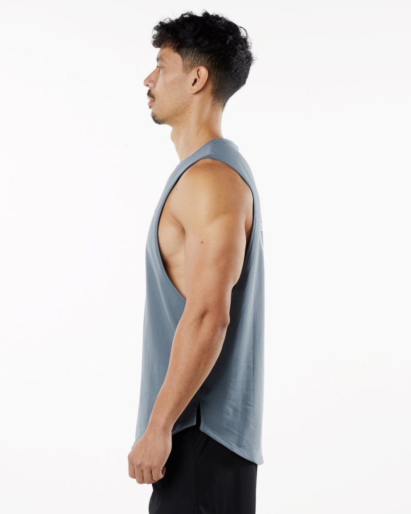 Alphalete Dynasty Tank Singlet Herre Carbon | HBILON-506