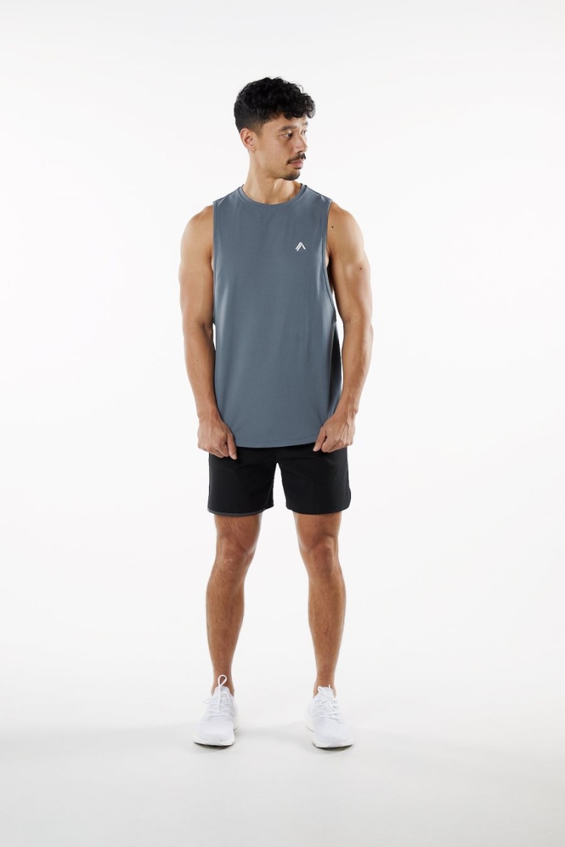 Alphalete Dynasty Tank Singlet Herre Carbon | HBILON-506