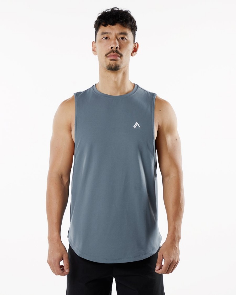 Alphalete Dynasty Tank Singlet Herre Carbon | HBILON-506