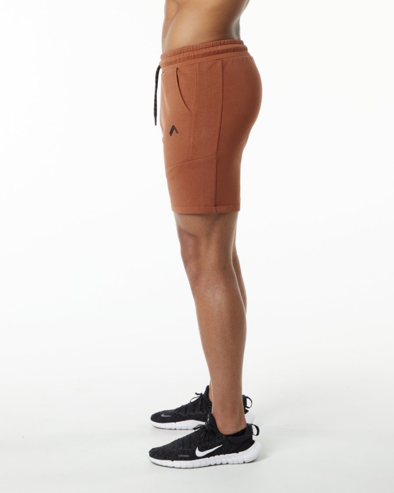 Alphalete ELMTS Atletiske Kort 6" Shorts Herre Brick | XOYHWG-985