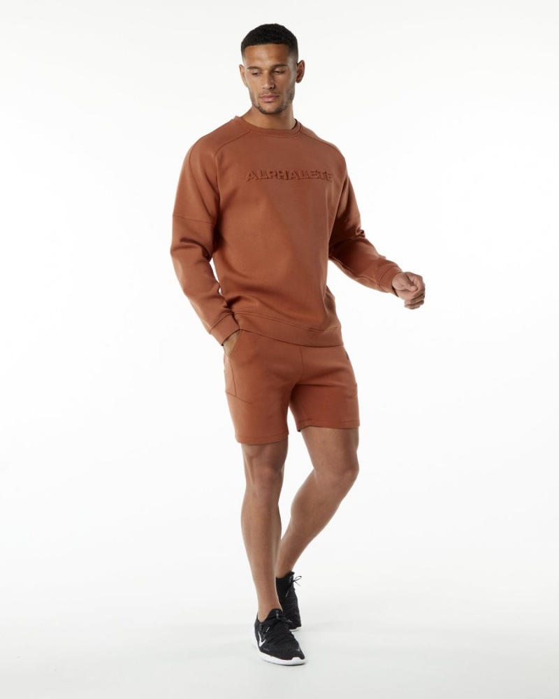 Alphalete ELMTS Atletiske Kort 6" Shorts Herre Brick | XOYHWG-985