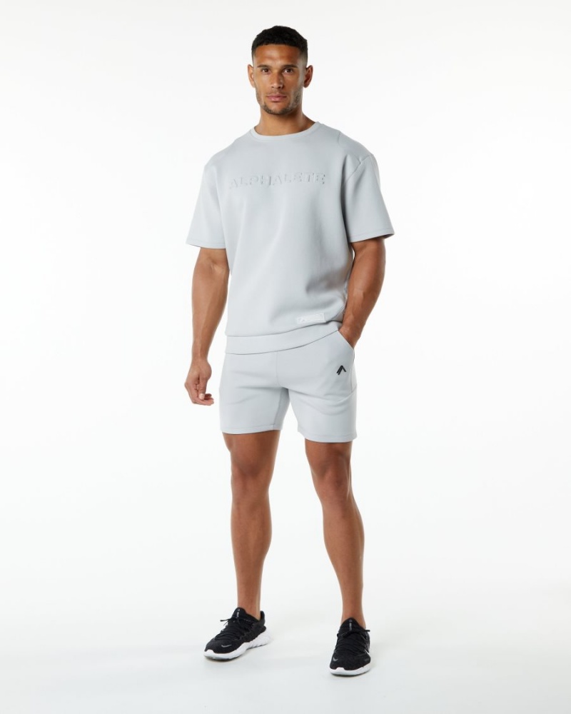 Alphalete ELMTS Atletiske Kort 6" Shorts Herre Grå | RSDVHQ-256