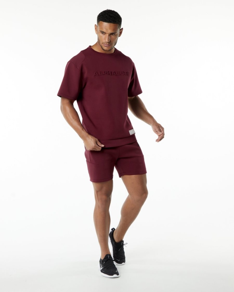 Alphalete ELMTS Atletiske Kort 6" Shorts Herre Burgunder | BDOFRT-416