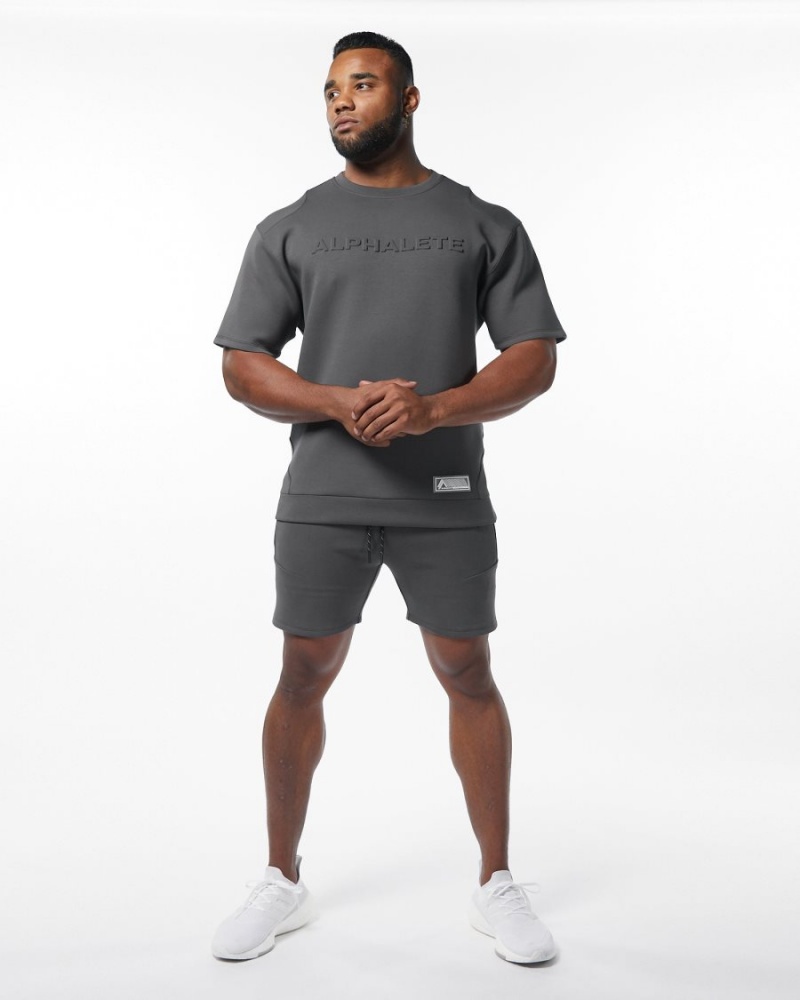 Alphalete ELMTS Atletiske Kort 6" Shorts Herre Charcoal | PONRUJ-150