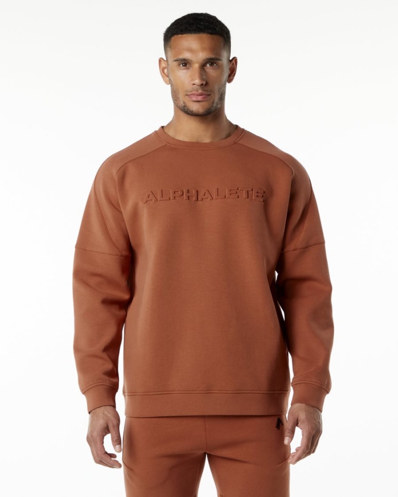 Alphalete ELMTS Crewneck Genser Jakker Herre Brick | DSXYPH-138