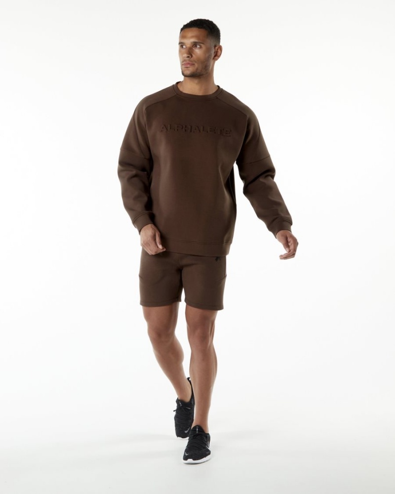 Alphalete ELMTS Crewneck Genser Jakker Herre Brune | PHQVUZ-593