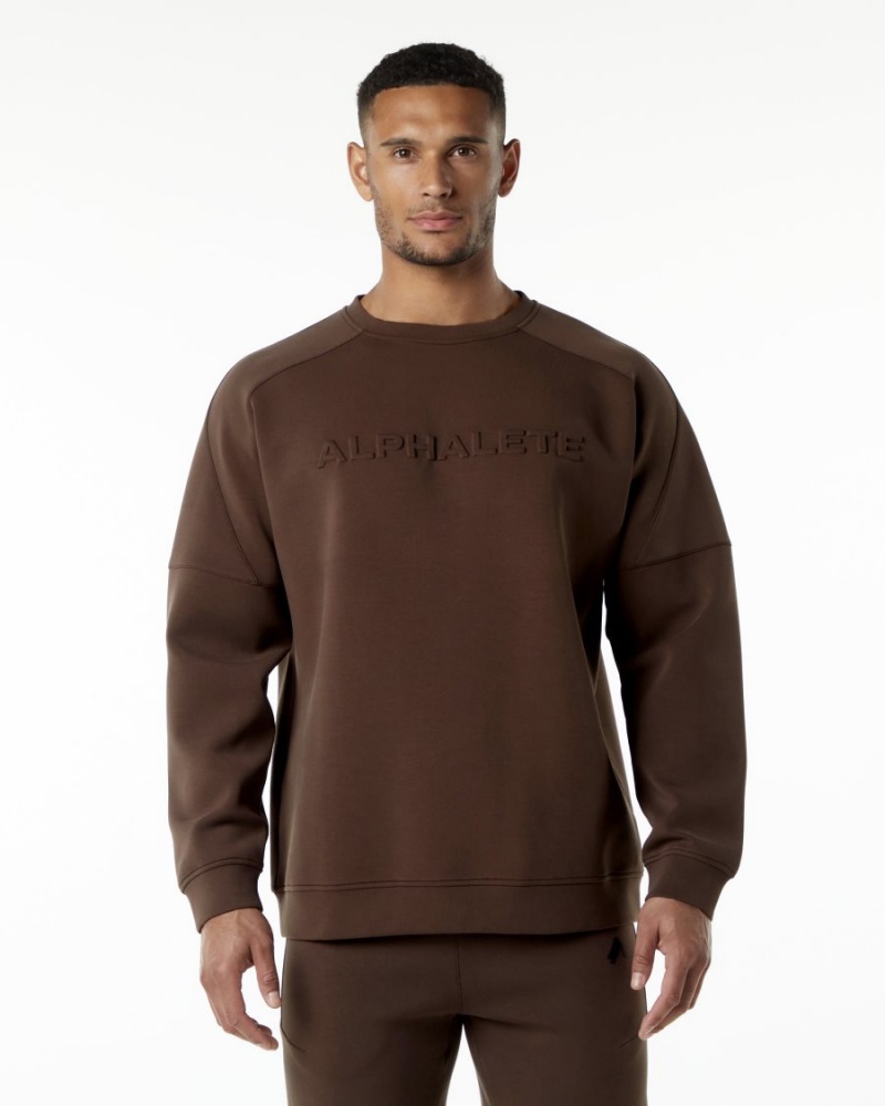 Alphalete ELMTS Crewneck Genser Jakker Herre Brune | PHQVUZ-593