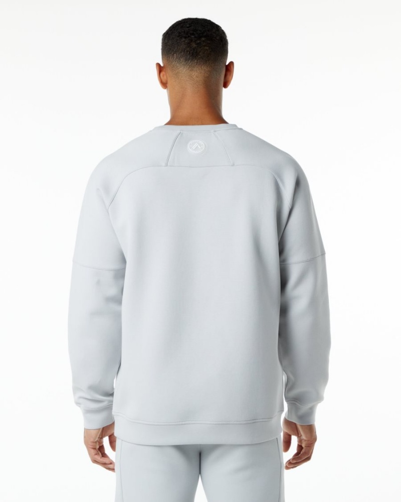 Alphalete ELMTS Crewneck Genser Jakker Herre Grå | BKDCGF-136