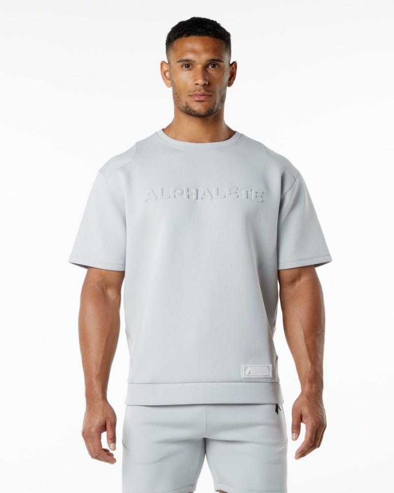 Alphalete ELMTS Half Sleeve Pullover Jakker Herre Grå | DUOSGW-752