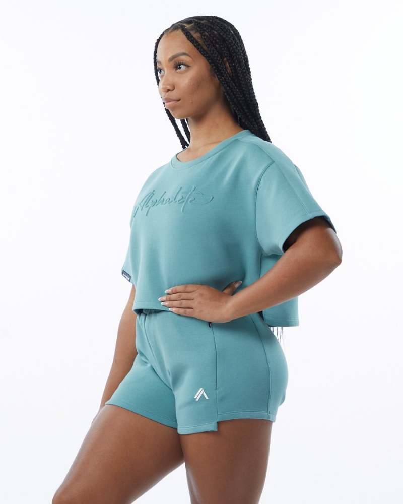 Alphalete ELMTS Half Sleeve Pullover Jakker Dame Teal | ODHCKE-984