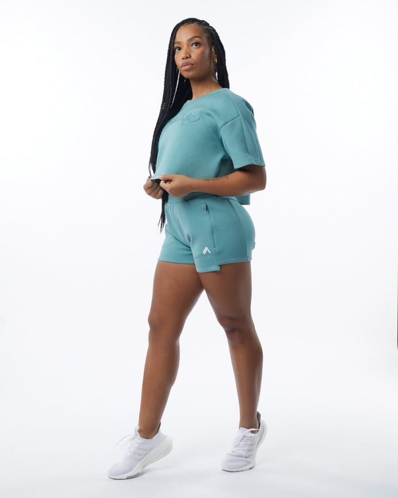 Alphalete ELMTS Half Sleeve Pullover Jakker Dame Teal | ODHCKE-984