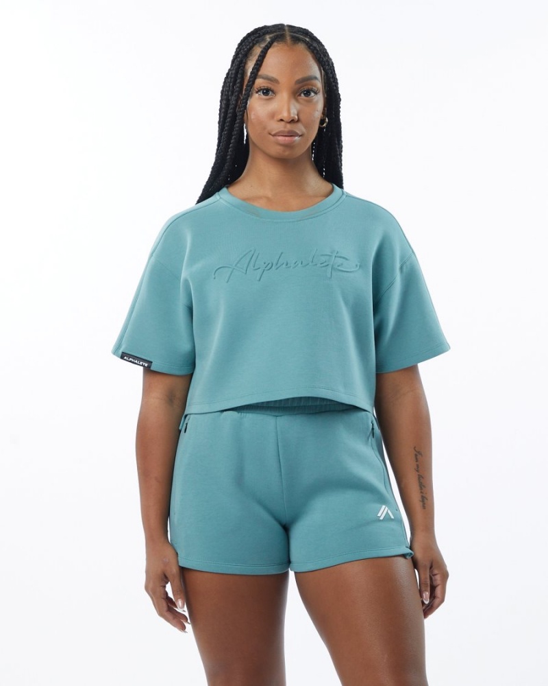 Alphalete ELMTS Half Sleeve Pullover Jakker Dame Teal | ODHCKE-984