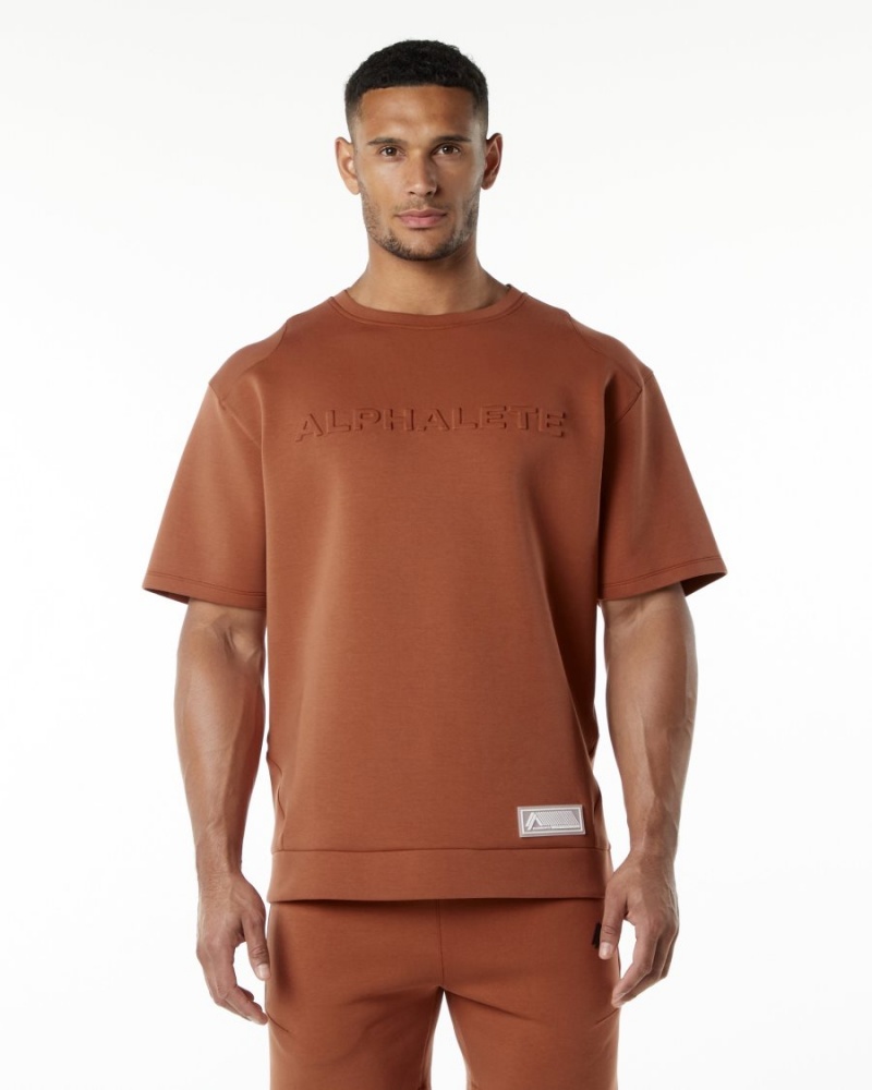 Alphalete ELMTS Half Sleeve Pullover Jakker Herre Brick | BUKARW-492