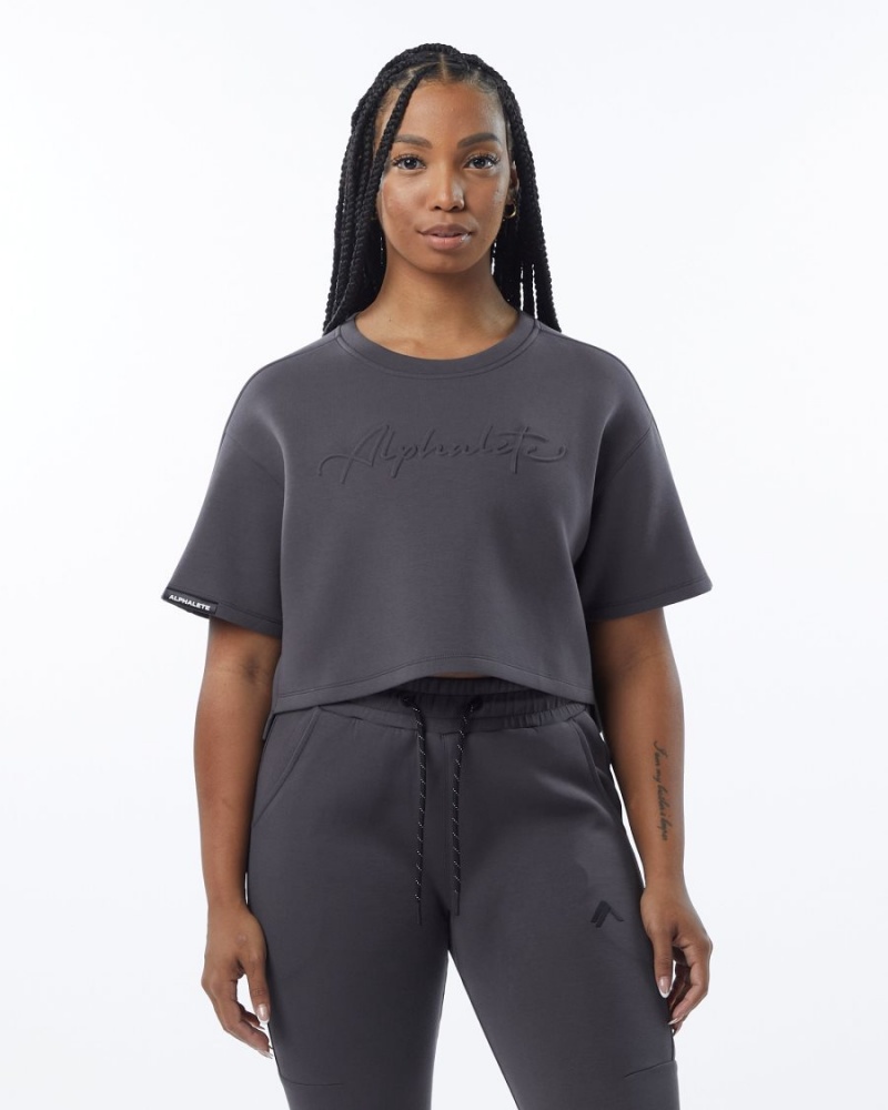 Alphalete ELMTS Half Sleeve Pullover Jakker Dame Charcoal | HCEDAS-718