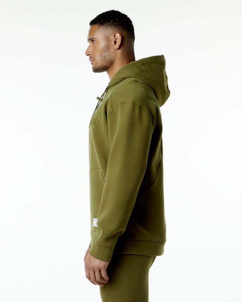 Alphalete ELMTS Hoodie Hettegenser Herre Moss | QMPOVU-410