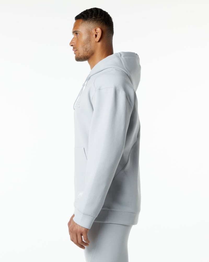 Alphalete ELMTS Hoodie Hettegenser Herre Grå | XZLCFK-681