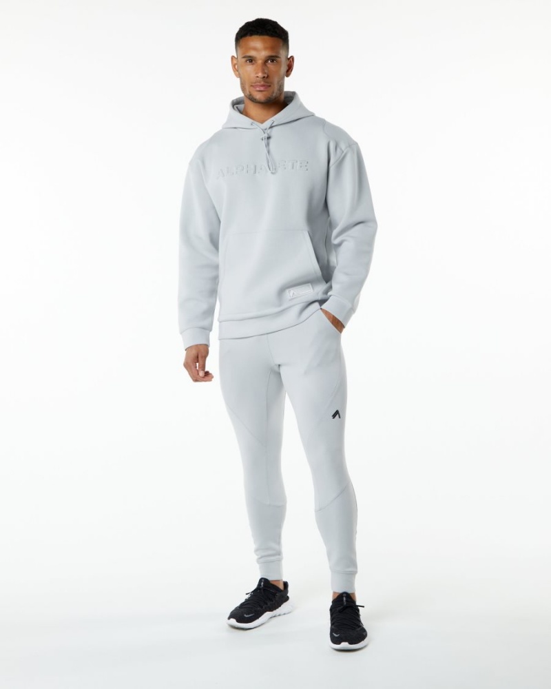 Alphalete ELMTS Hoodie Hettegenser Herre Grå | XZLCFK-681