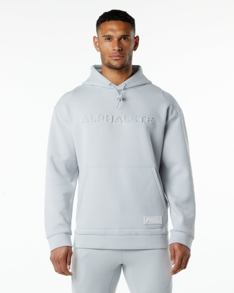 Alphalete ELMTS Hoodie Hettegenser Herre Grå | XZLCFK-681