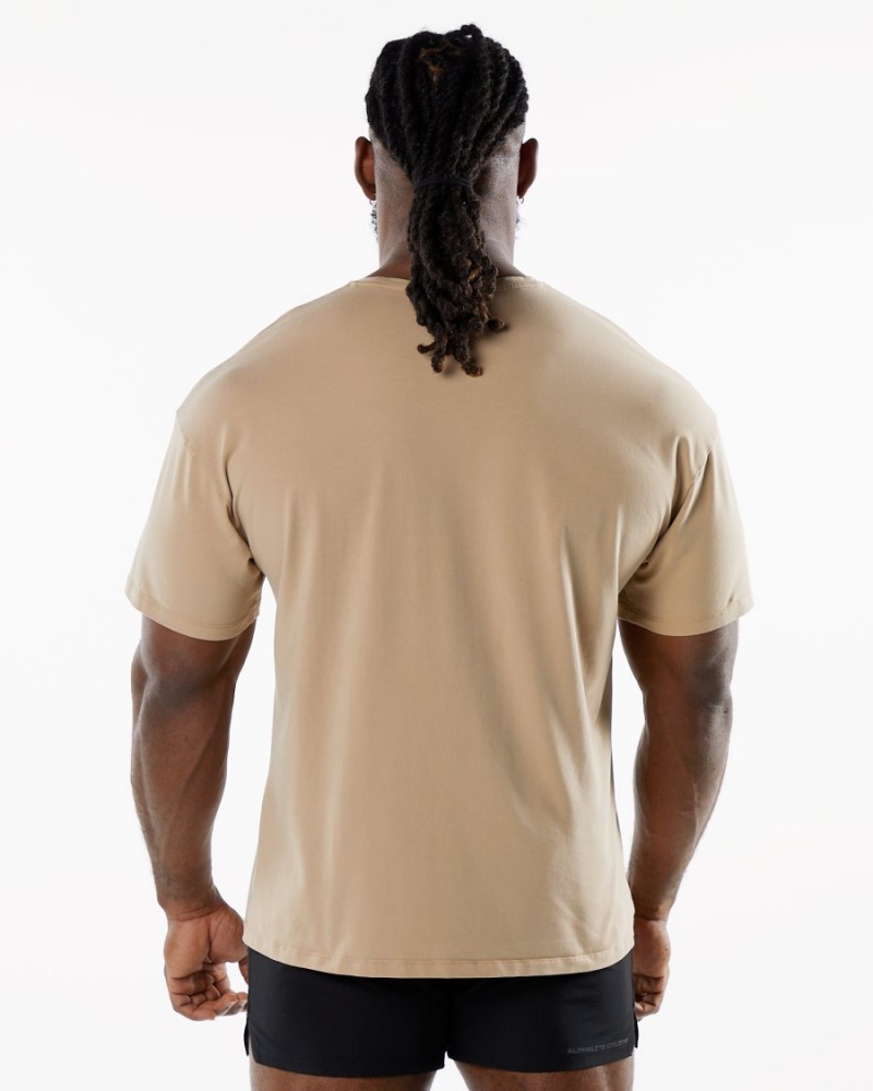 Alphalete Emblem Tee Skjorte Herre Taupe | RYLCTK-032