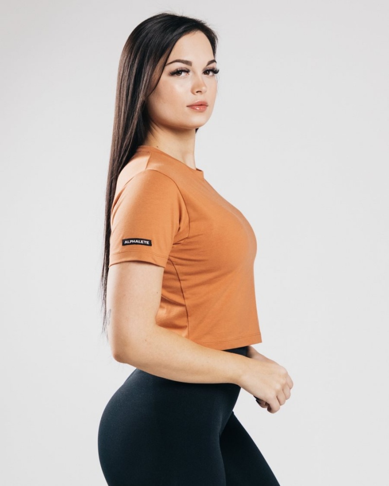 Alphalete Essential Kort Sleeve Crop Skjorte Dame Clay | BNWUTF-425