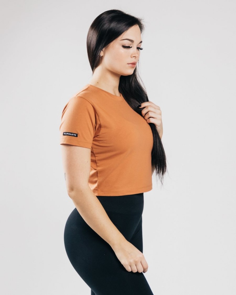 Alphalete Essential Kort Sleeve Crop Skjorte Dame Clay | BNWUTF-425