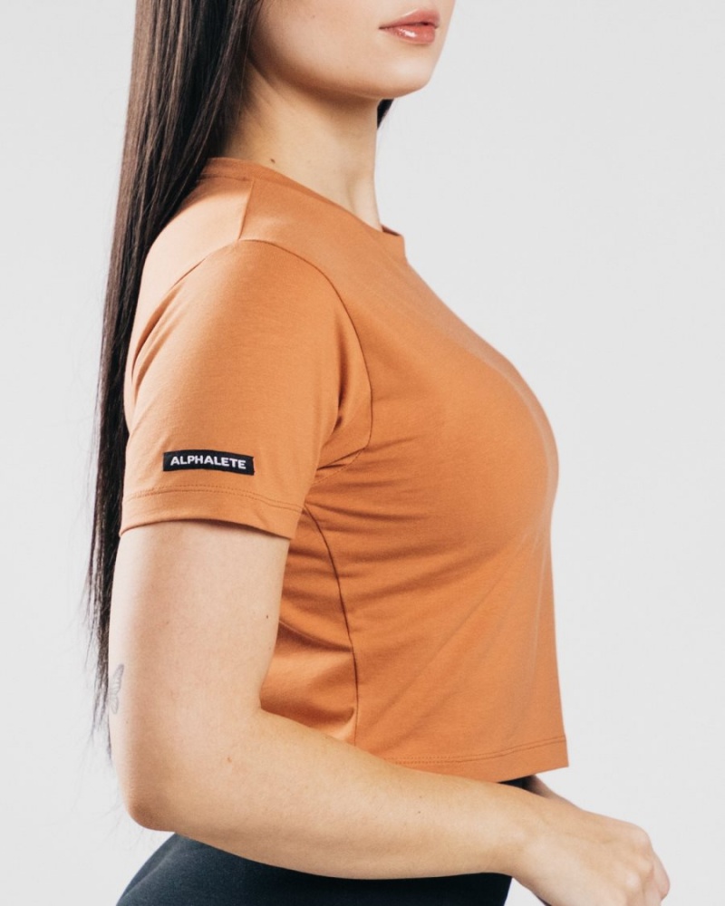 Alphalete Essential Kort Sleeve Crop Skjorte Dame Clay | BNWUTF-425