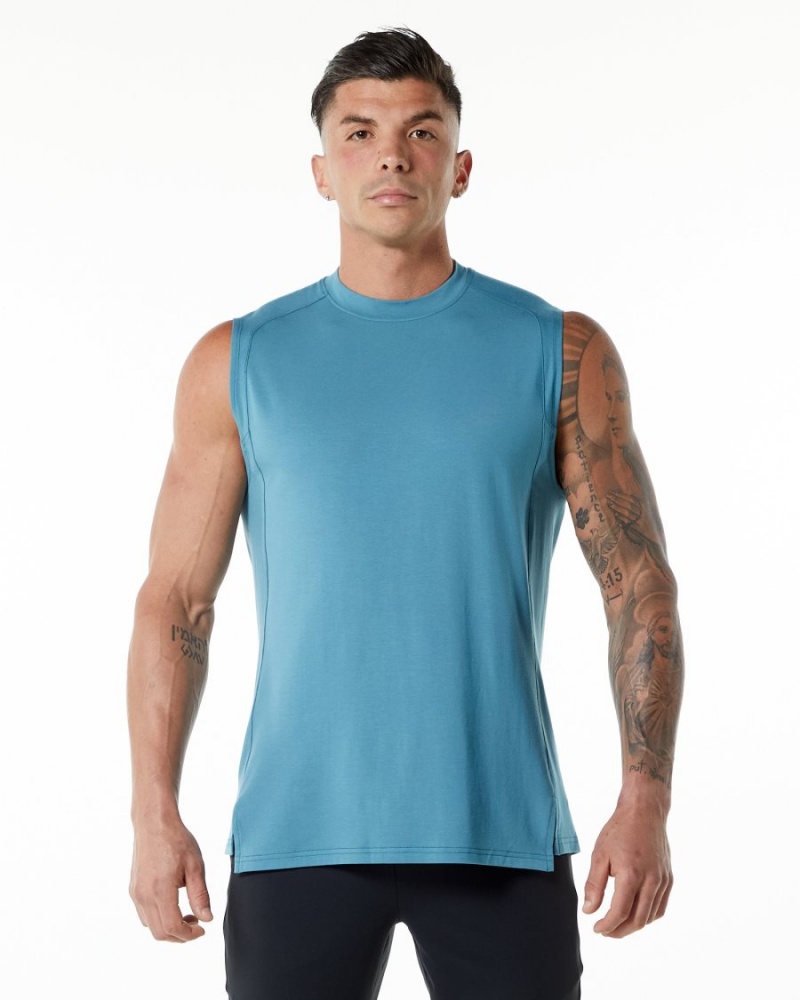 Alphalete Evo Tank Singlet Herre Blå | RCNBQD-315