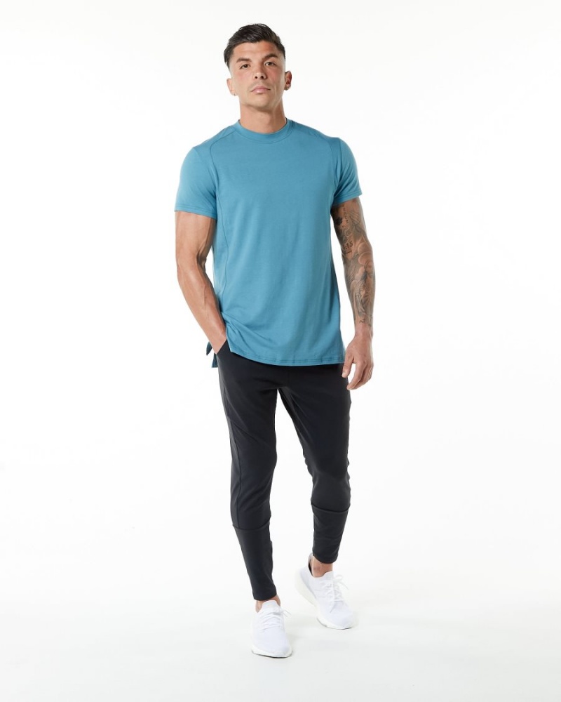 Alphalete Evo Tee Skjorte Herre Blå | QDIALH-507