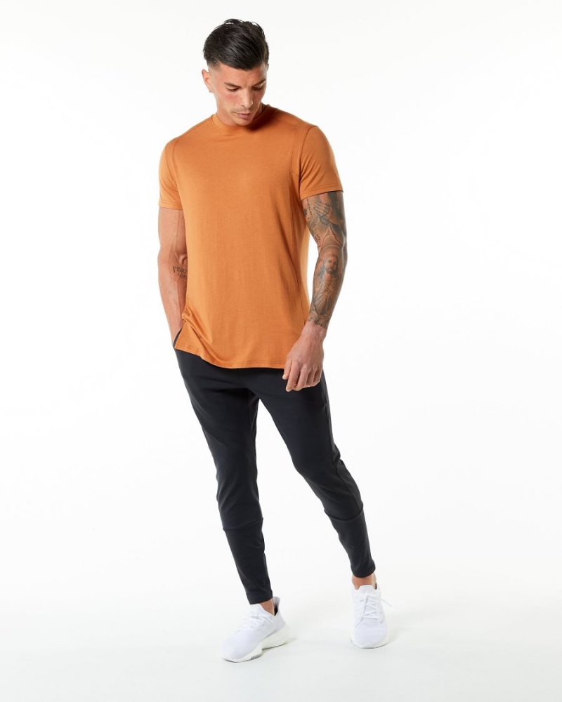 Alphalete Evo Tee Skjorte Herre Camel | XIGYCJ-374